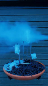 Sculpture of ice in winter with steam.