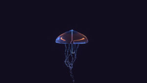 A jellyfish combined with an umbrella swims in the dark ocean.