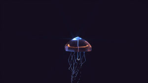 A jellyfish mixed with an umbrella for a 3D animation.